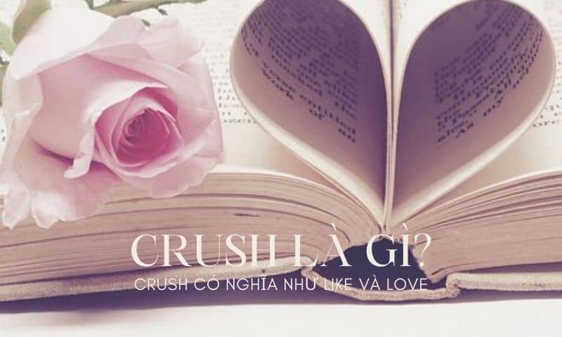 Khái niệm về crush là gì?