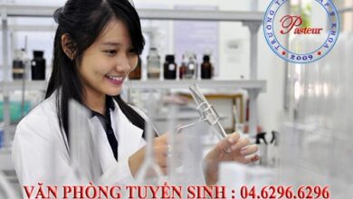 Văn phòng tuyển sinh dược sĩ trung cấp tại Hà Nội