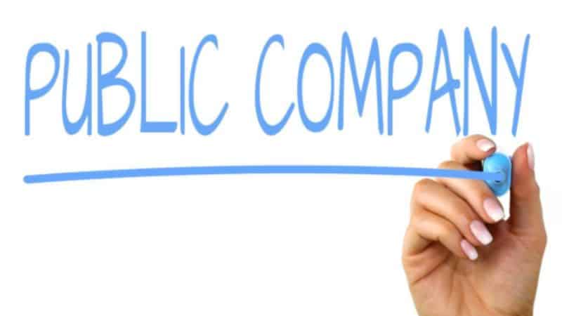 Tìm hiểu Public company là gì?