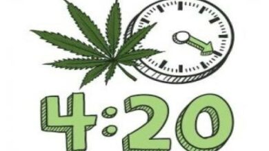 420 là gì? Ý nghĩa đặc biệt của con số 420