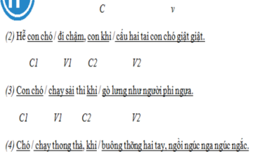 Chủ ngữ và vị ngữ trong câu - Bí quyết giúp bạn luyện Tiếng Việt thành thạo
