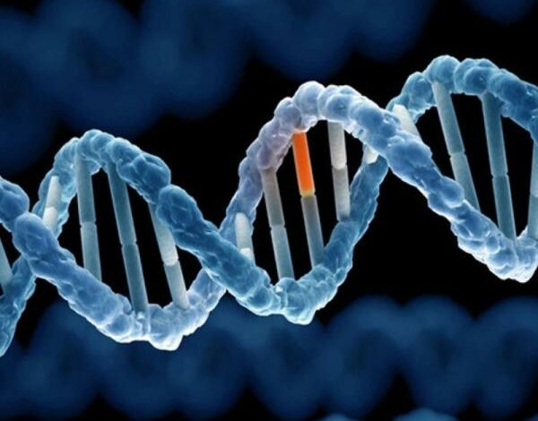 Đột biến gen: Hiện tượng tự nhiên và không phải lúc nào cũng xấu