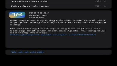 Bản cập nhật iOS 16.6.1: Có nên update không?