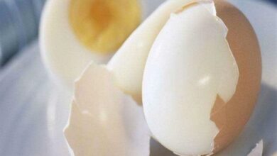 Trứng làm 'thuốc độc' nếu ăn theo cách này - Văn Phòng Tuyển Sinh Y Dược Hà Nội